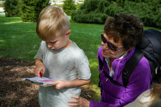 A young child doing a leaf rubbing while an adult watches. 